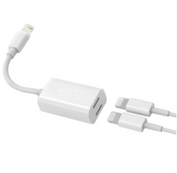 2 in 1 Lightning Adapter and Charger for iPhone